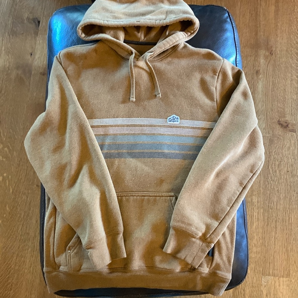 Men’s small Patagonia hooded sweatshirt.